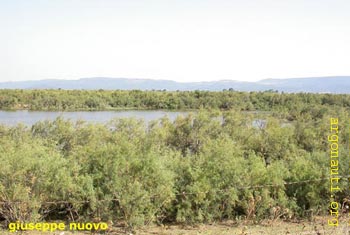 106DSCN2328Evros