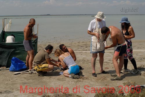 20la banda dei rosei