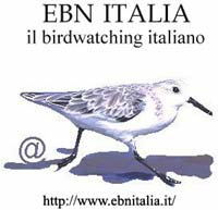 ebn puglia